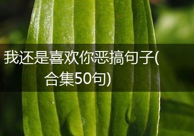 我还是喜欢你恶搞句子(合集50句)