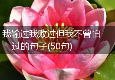 我输过我败过但我不曾怕过的句子(50句)