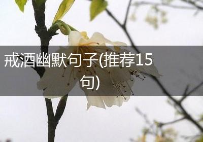 戒酒幽默句子(推荐15句)