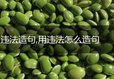 违法造句,用违法怎么造句