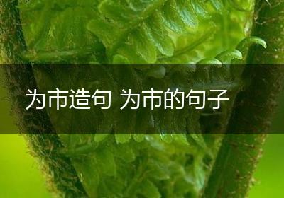 为市造句 为市的句子