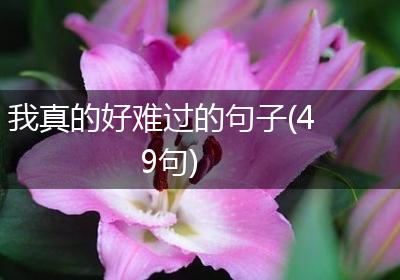 我真的好难过的句子(49句)