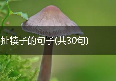 扯犊子的句子(共30句)
