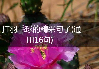 打羽毛球的精采句子(通用16句)