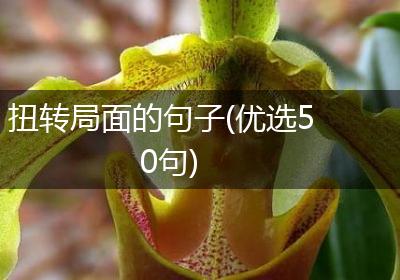 扭转局面的句子(优选50句)