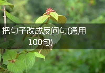 把句子改成反问句(通用100句)