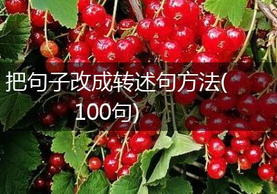 把句子改成转述句方法(100句)