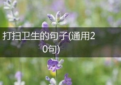 打扫卫生的句子(通用20句)