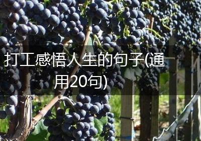 打工感悟人生的句子(通用20句)