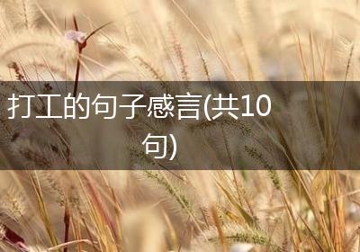 打工的句子感言(共10句)
