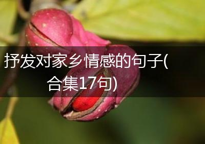 抒发对家乡情感的句子(合集17句)