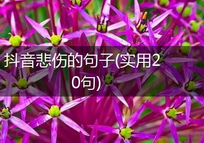 抖音悲伤的句子(实用20句)