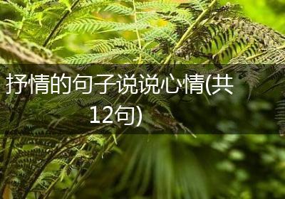 抒情的句子说说心情(共12句)