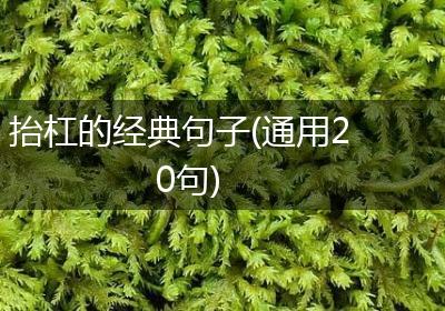 抬杠的经典句子(通用20句)