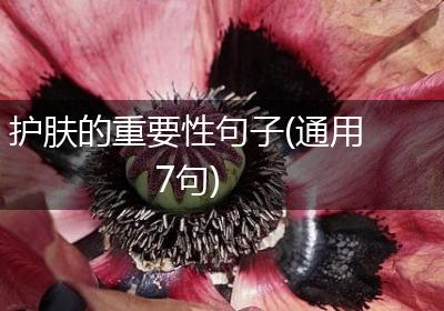 护肤的重要性句子(通用7句)