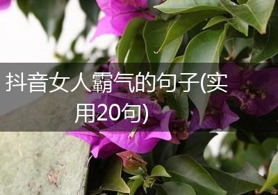 抖音女人霸气的句子(实用20句)