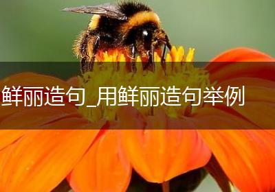 鲜丽造句_用鲜丽造句举例