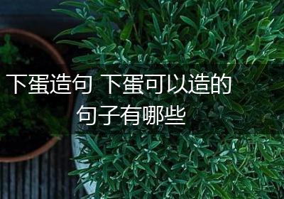 下蛋造句 下蛋可以造的句子有哪些