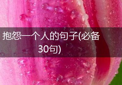 抱怨一个人的句子(必备30句)
