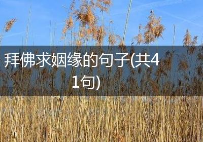 拜佛求姻缘的句子(共41句)