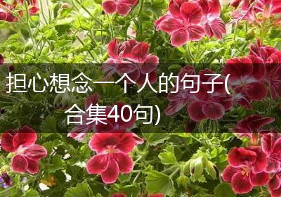 担心想念一个人的句子(合集40句)