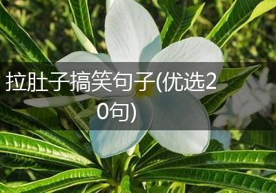 拉肚子搞笑句子(优选20句)