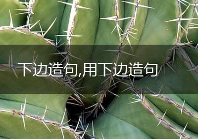 下边造句,用下边造句