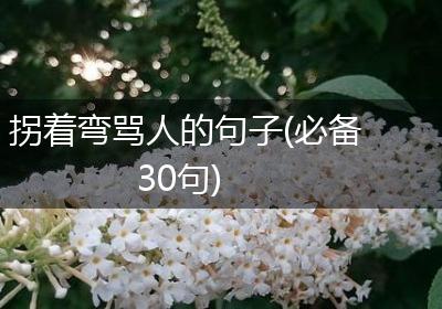 拐着弯骂人的句子(必备30句)