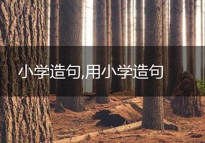 小学造句,用小学造句
