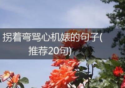 拐着弯骂心机婊的句子(推荐20句)