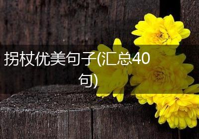拐杖优美句子(汇总40句)