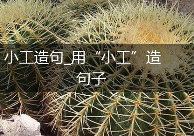 小工造句_用“小工”造句子