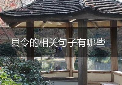县令的相关句子有哪些