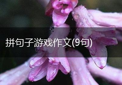 拼句子游戏作文(9句)