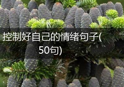 控制好自己的情绪句子(50句)