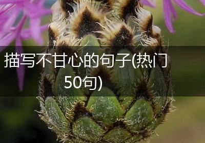 描写不甘心的句子(热门50句)