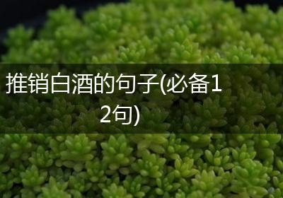 推销白酒的句子(必备12句)