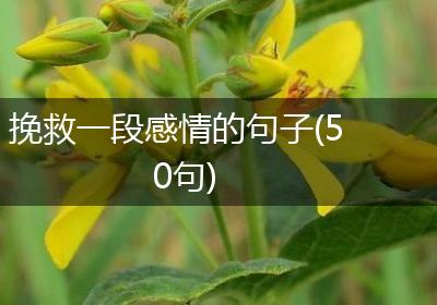 挽救一段感情的句子(50句)