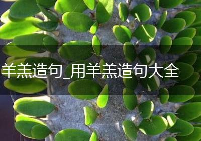 羊羔造句_用羊羔造句大全