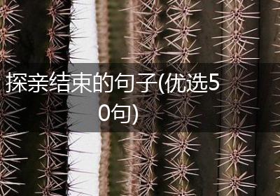 探亲结束的句子(优选50句)