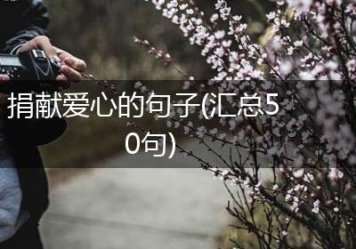 捐献爱心的句子(汇总50句)