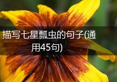描写七星瓢虫的句子(通用45句)