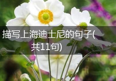 描写上海迪士尼的句子(共11句)