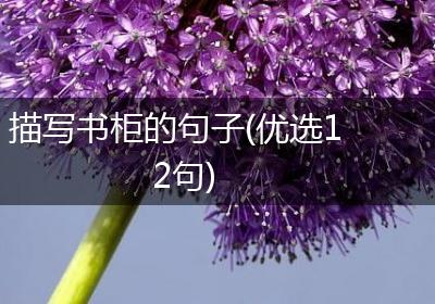描写书柜的句子(优选12句)