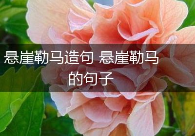 悬崖勒马造句 悬崖勒马的句子