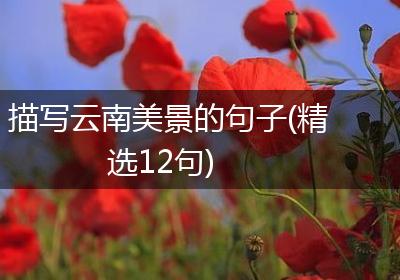 描写云南美景的句子(精选12句)