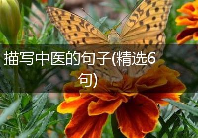 描写中医的句子(精选6句)