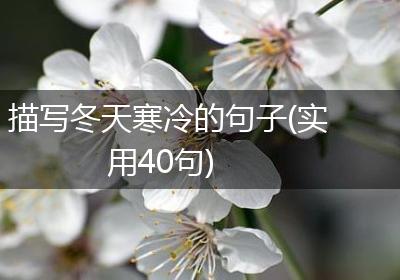 描写冬天寒冷的句子(实用40句)