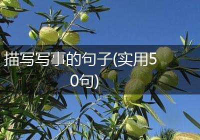 描写写事的句子(实用50句)