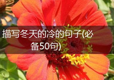 描写冬天的冷的句子(必备50句)